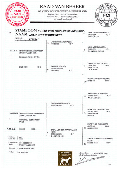 Stamboom Antje